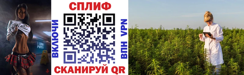 как найти наркотики  Пролетарск  Конопля тримм 